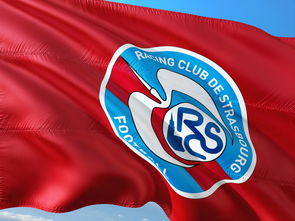 帕尔梅拉斯小将表现抢眼，劲旅添新力量