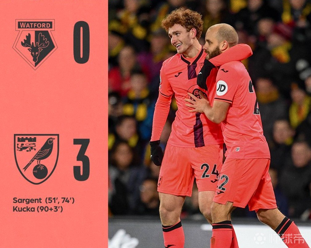 关于诺里奇城主场失利，保级形势严峻的信息