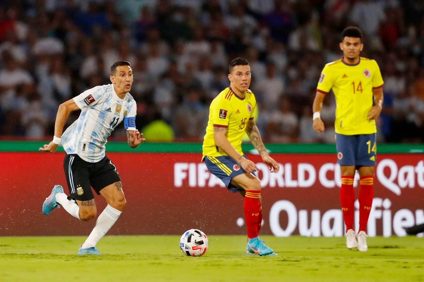 哥伦比亚队在欧洲杯预选赛中拼尽全力